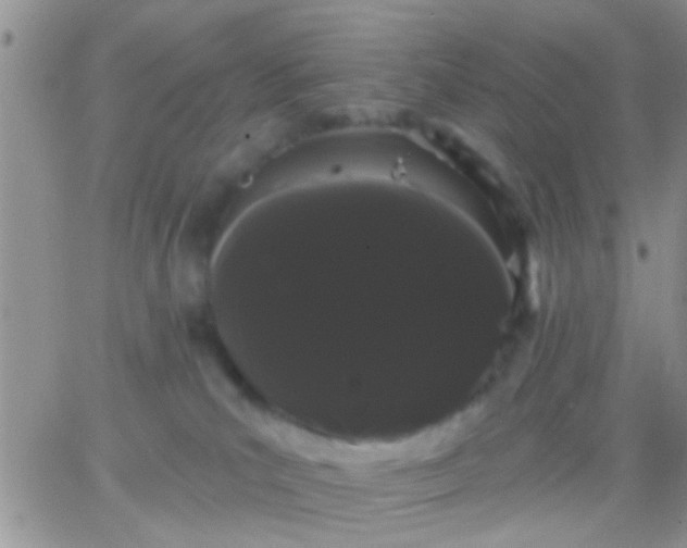 X0000066120039200603171805