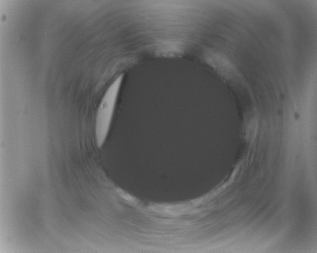 X0000066120041200603171805