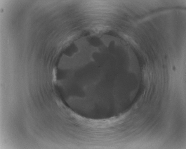 X0000066120042200603171805