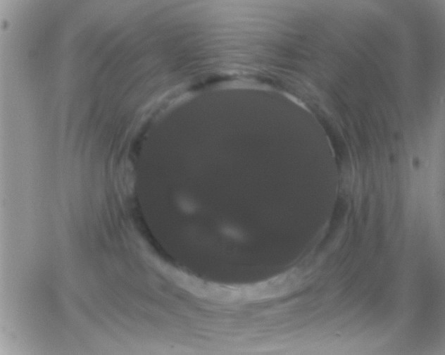 X0000066120043200603171805