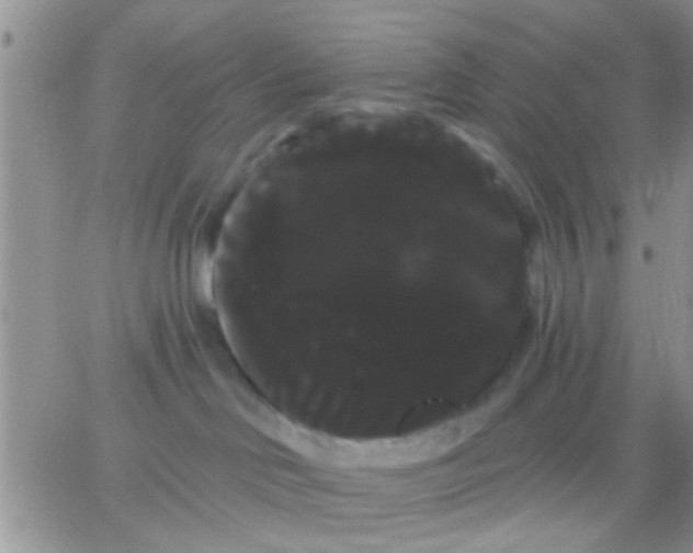 X0000066120046200603171805