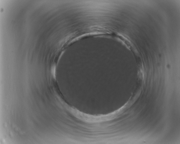 X0000066120047200603171805