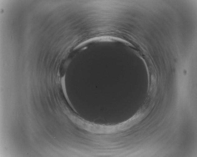 X0000066120048200603171805