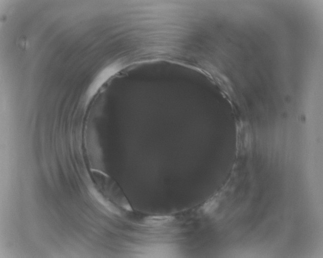 X0000066120051200603171804