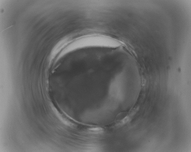 X0000066120053200603171804