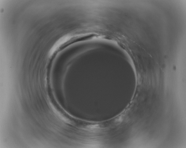 X0000066120054200603171804