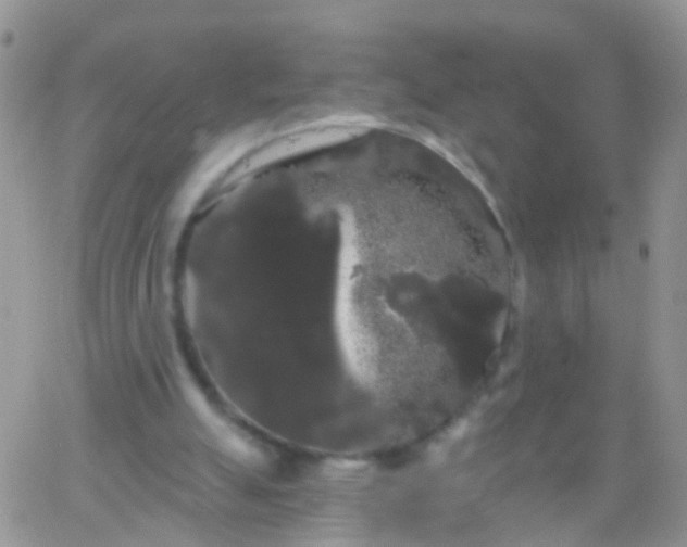 X0000066120055200603171804