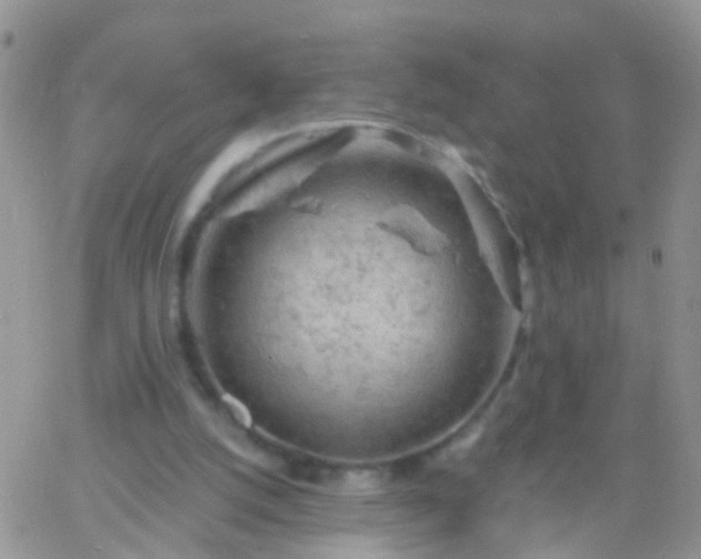 X0000066120056200603171804