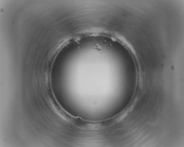 X0000066120057200603171804