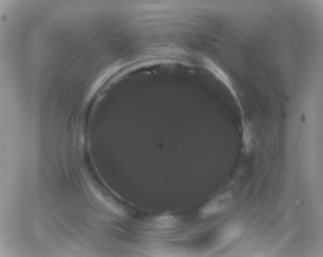 X0000066120059200603171804