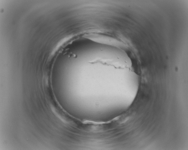 X0000066120060200603171804