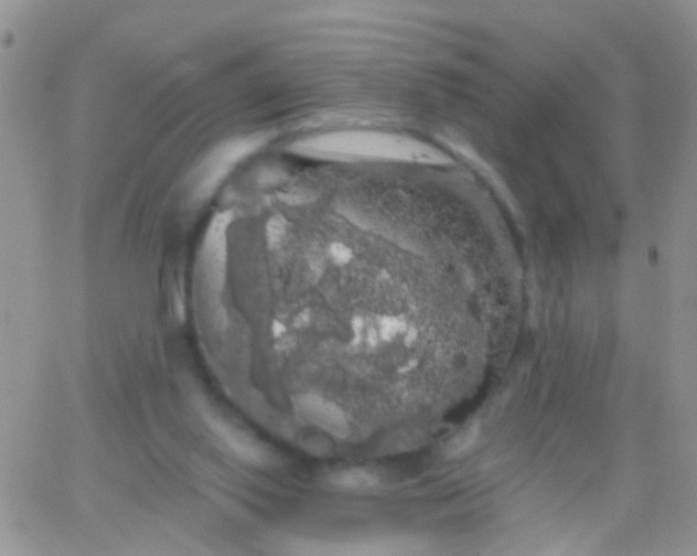 X0000066120062200603171804