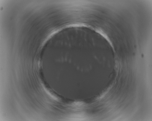 X0000066120063200603171804