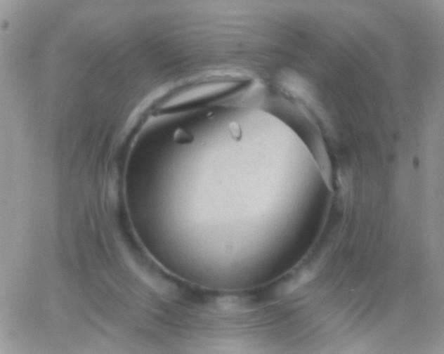 X0000066120064200603171804