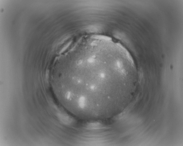 X0000066120066200603171804