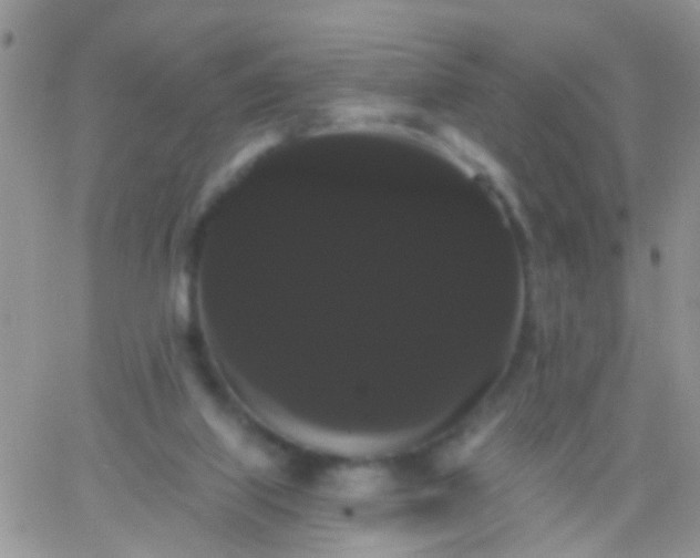 X0000066120067200603171804