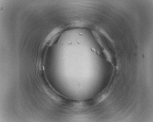 X0000066120068200603171804