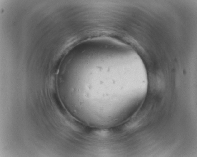 X0000066120071200603171804