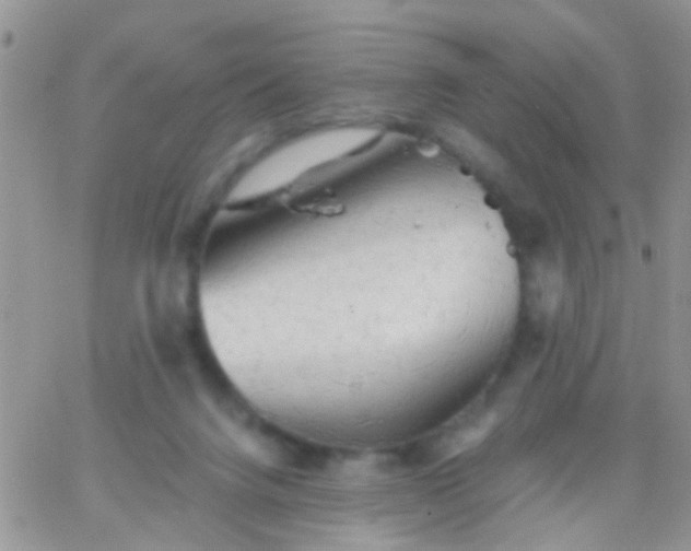 X0000066120072200603171804