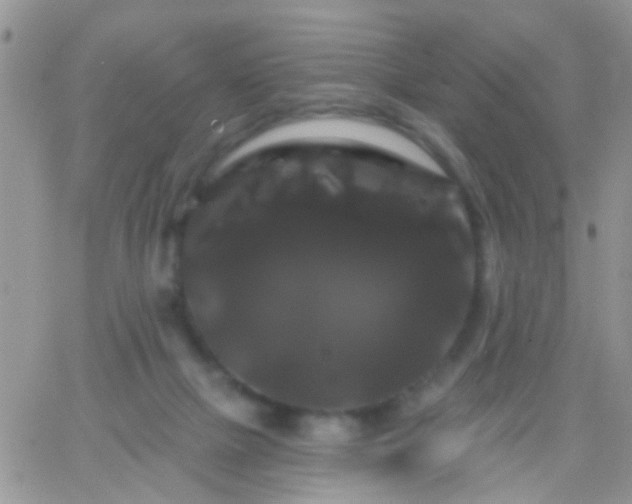 X0000066120073200603171804