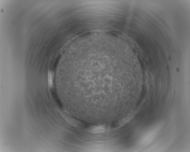 X0000066120075200603171804