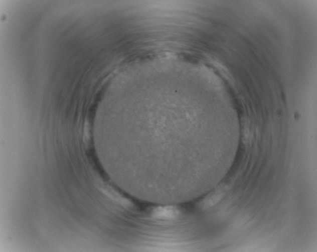 X0000066120077200603171804