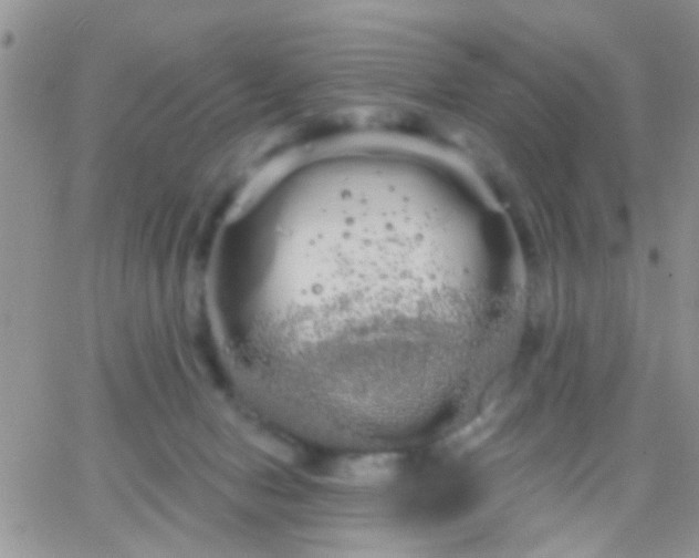 X0000066120078200603171804