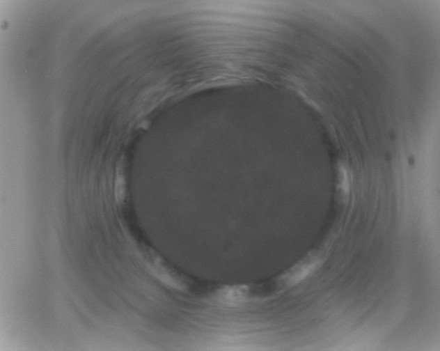 X0000066120080200603171804