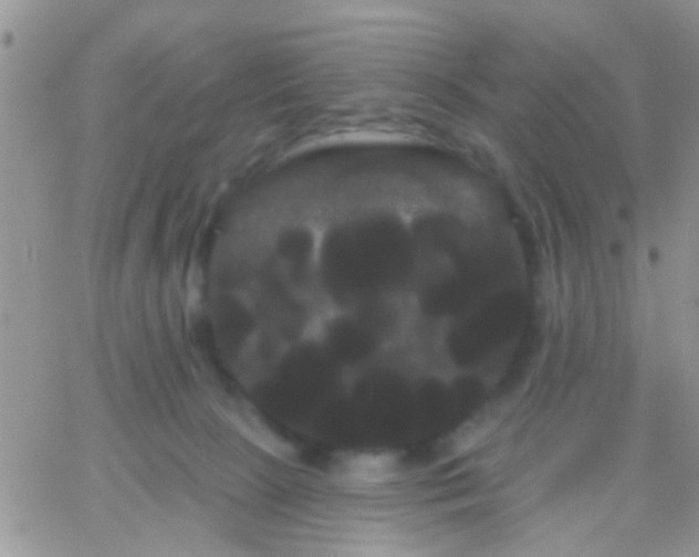 X0000066120081200603171804