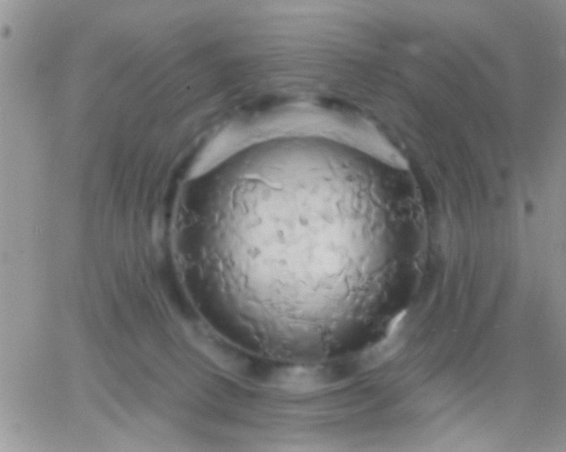 X0000066120082200603171804