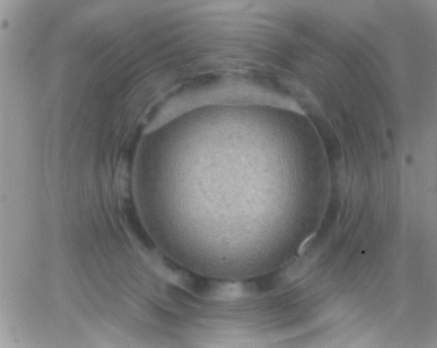 X0000066120083200603171804