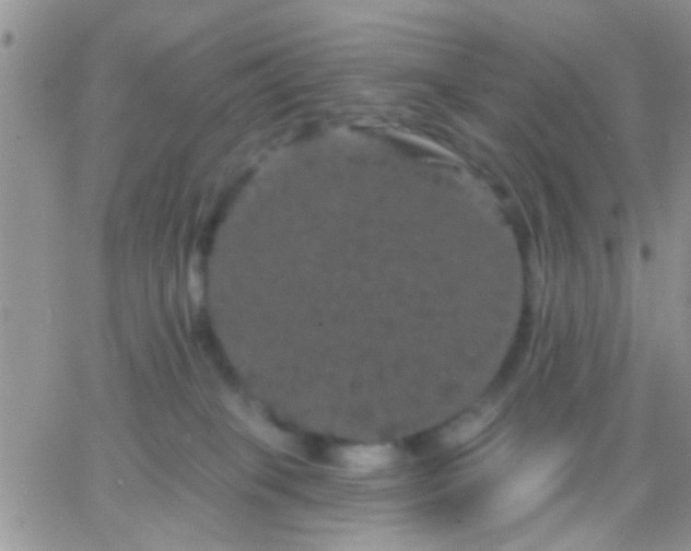 X0000066120085200603171804