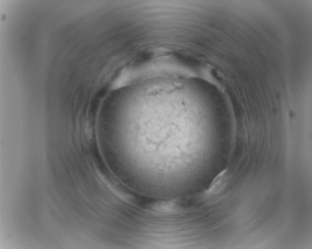 X0000066120086200603171804