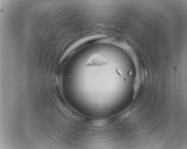 X0000066120088200603171805