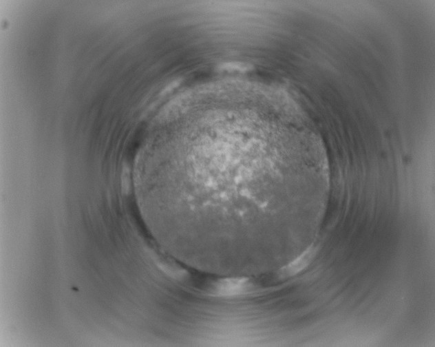 X0000066120090200603171805