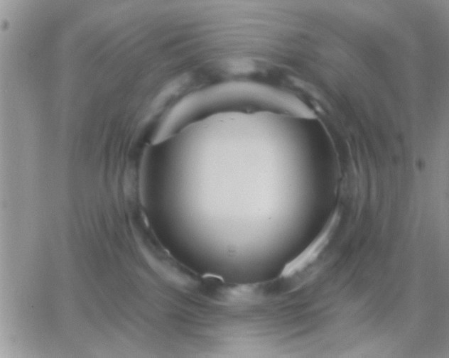 X0000066120092200603171805