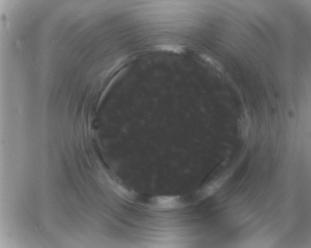 X0000066120093200603171805