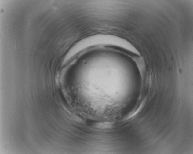 X0000066120094200603171805