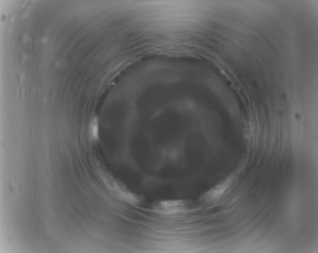 X0000066120095200603171805