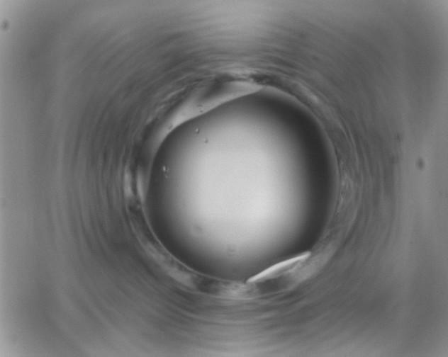 X0000066120096200603171805