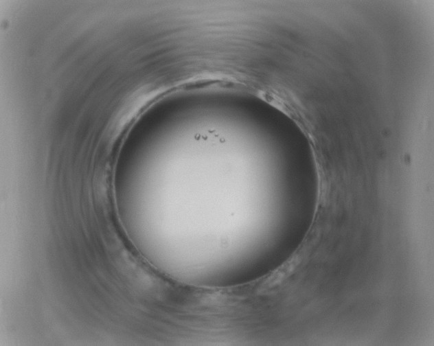 X0000066120098200603171804