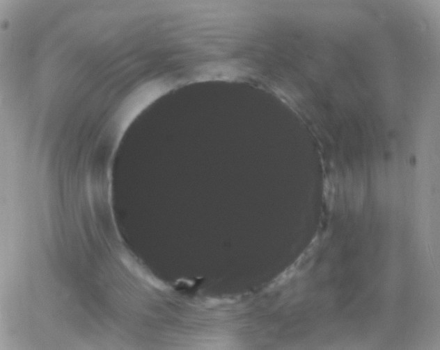 X0000066120100200603171804