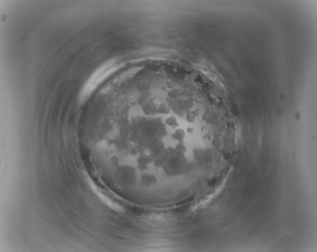 X0000066120101200603171804