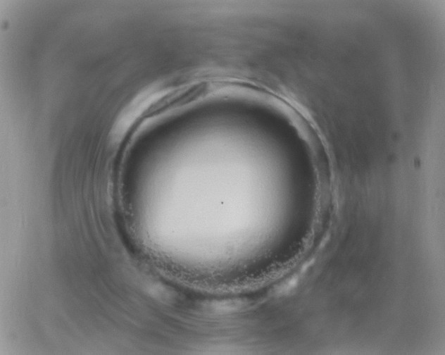 X0000066120103200603171804