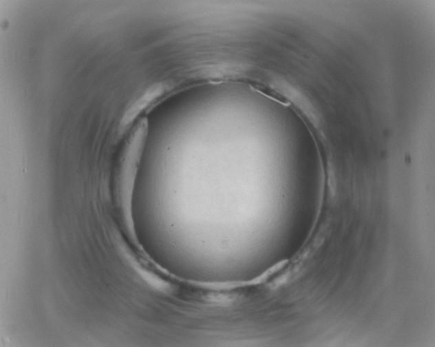 X0000066120105200603171804