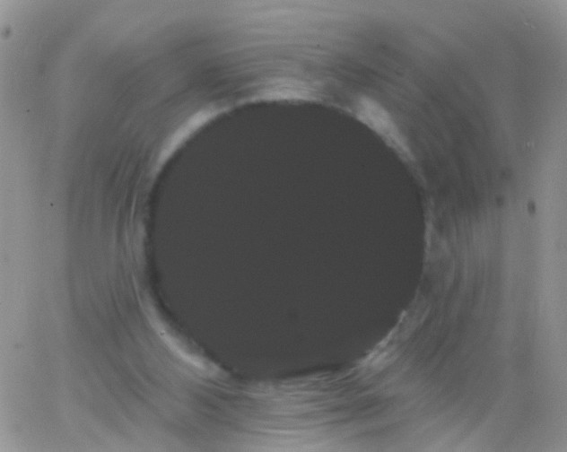 X0000066120108200603171804