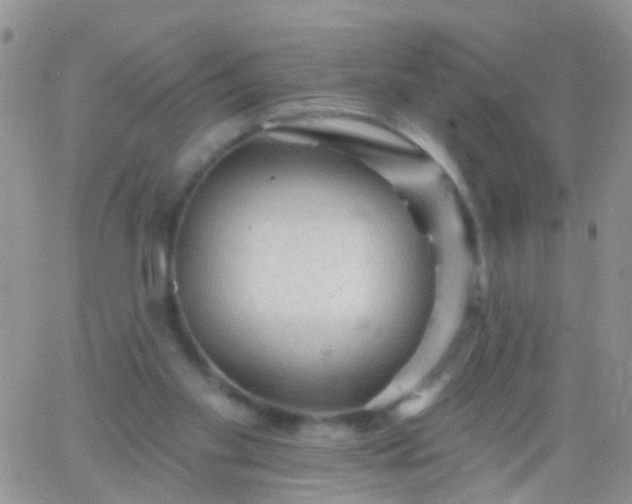 X0000066120109200603171804