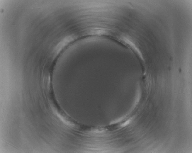 X0000066120110200603171804