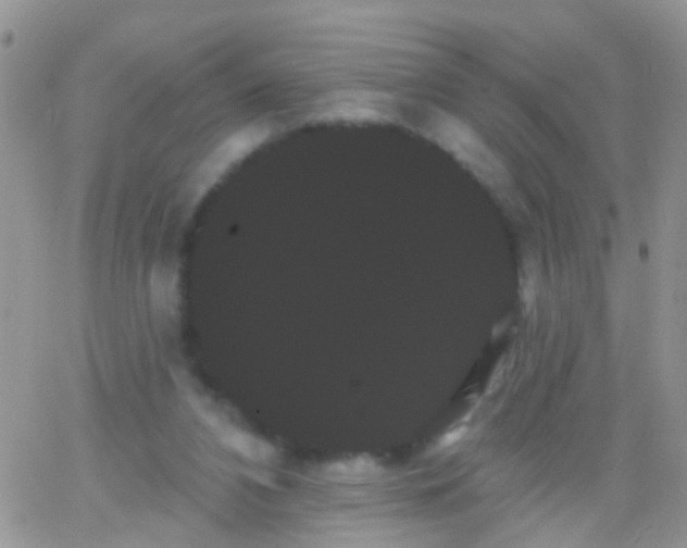 X0000066120112200603171804