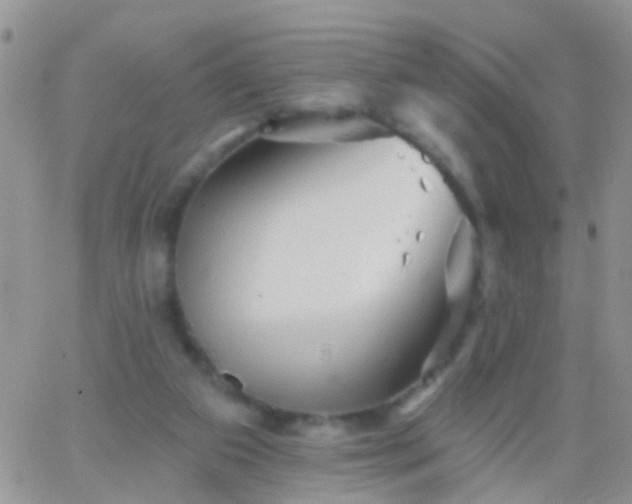 X0000066120113200603171804